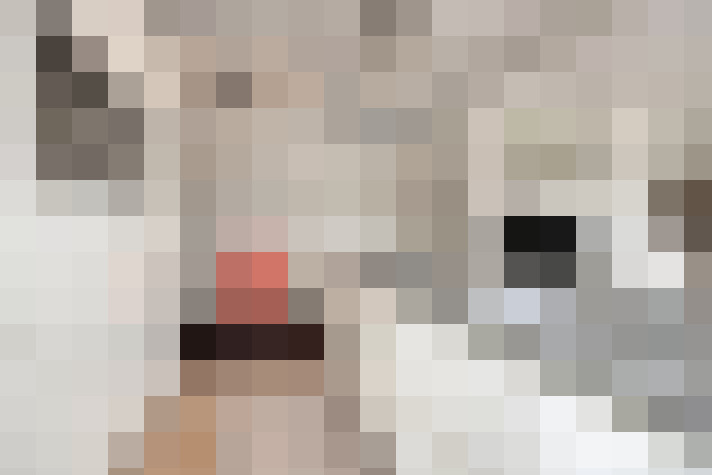  / #16