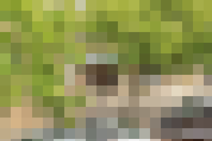  / #14