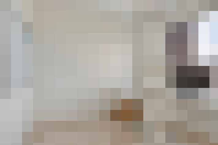  / #20