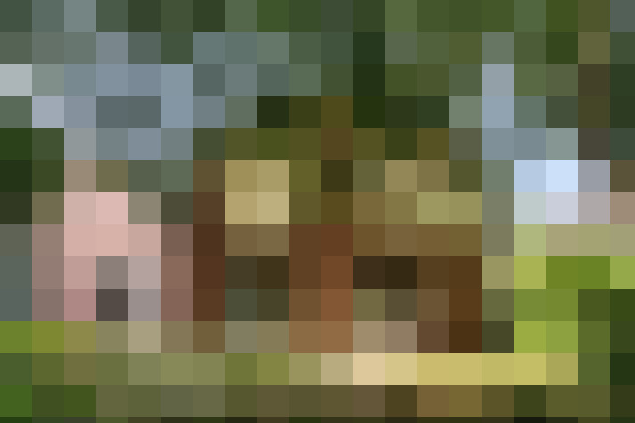  / #16