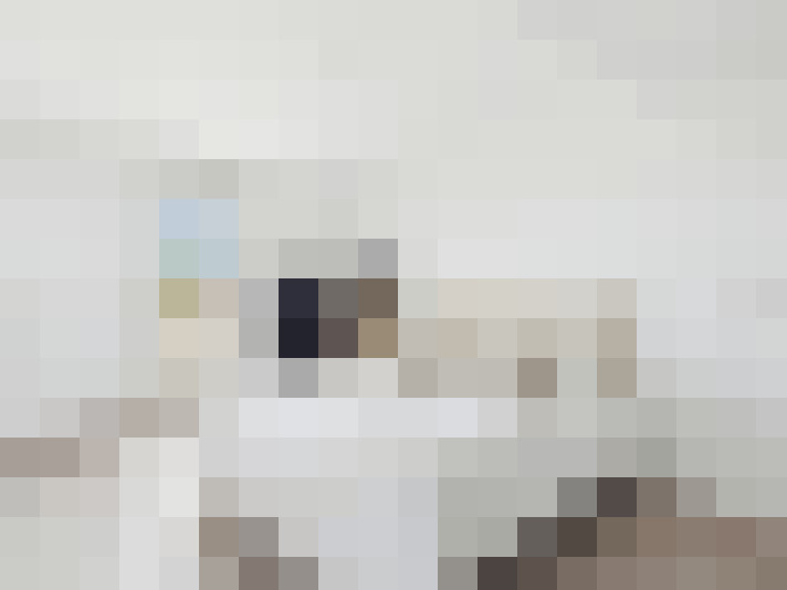  / #16
