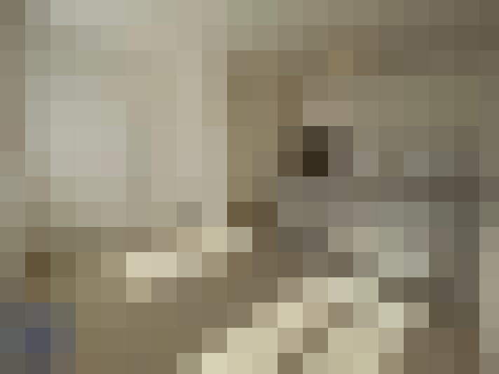  / #8
