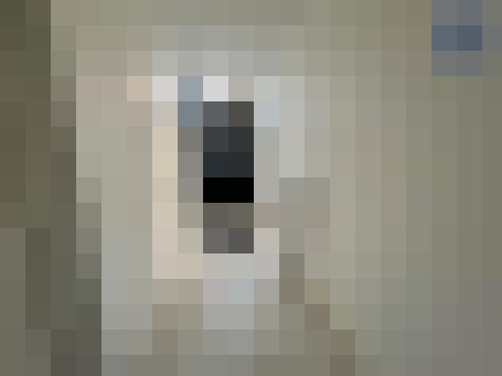  / #19