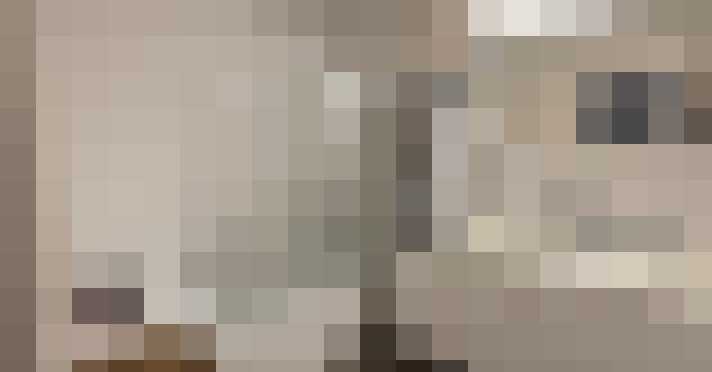  / #24