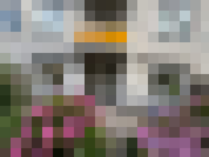  / #17