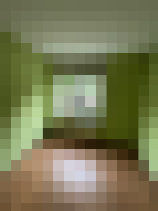  / #19