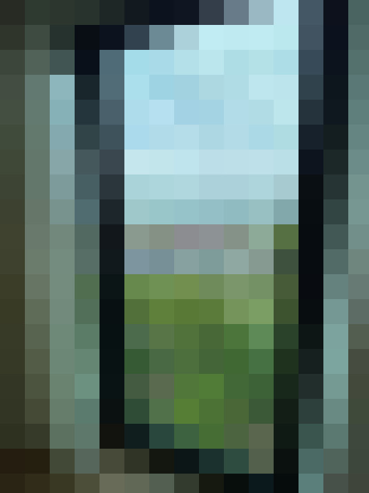 / #20
