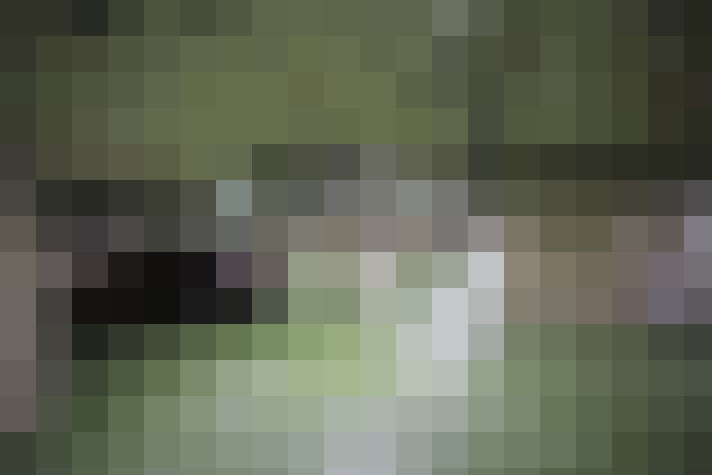  / #14