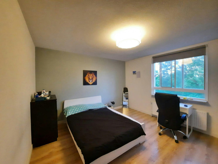 Kamer aan de Albertistraat in Rotterdam