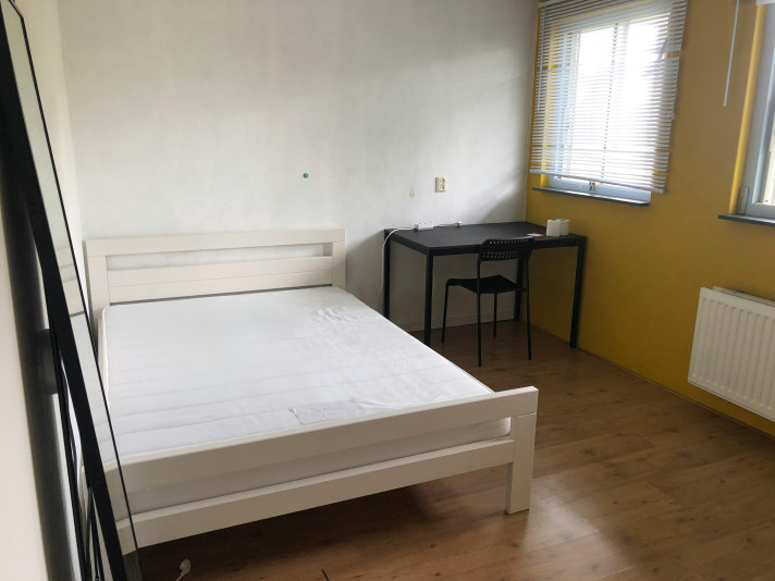 Kamer aan de Snelfilterweg in Rotterdam (3063 JG)