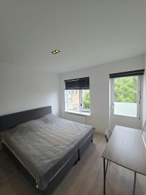 Room in Rotterdam