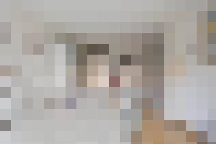  / #20