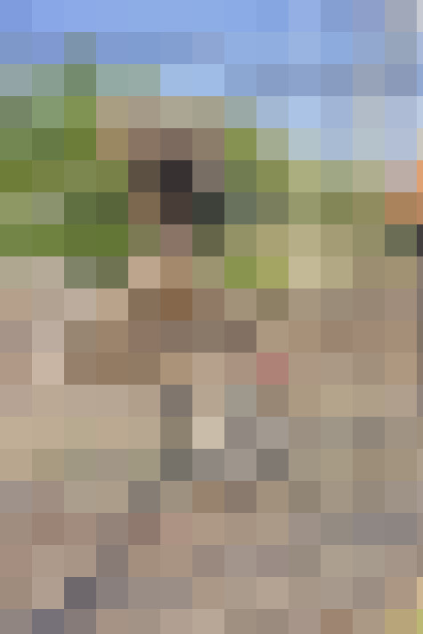  / #55