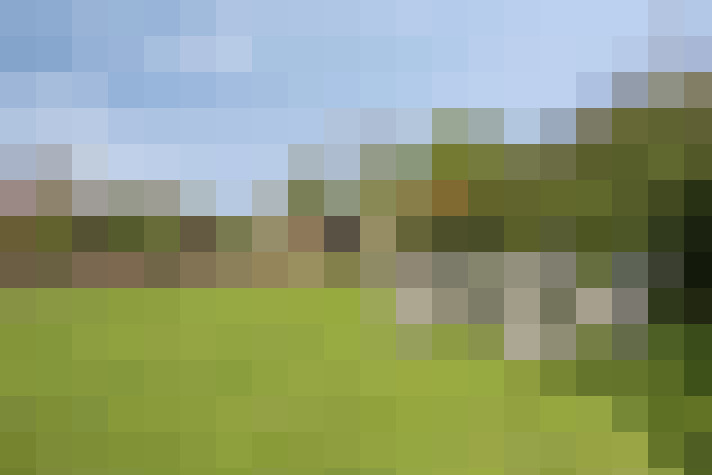  / #54