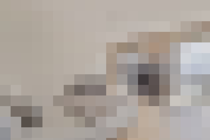  / #21