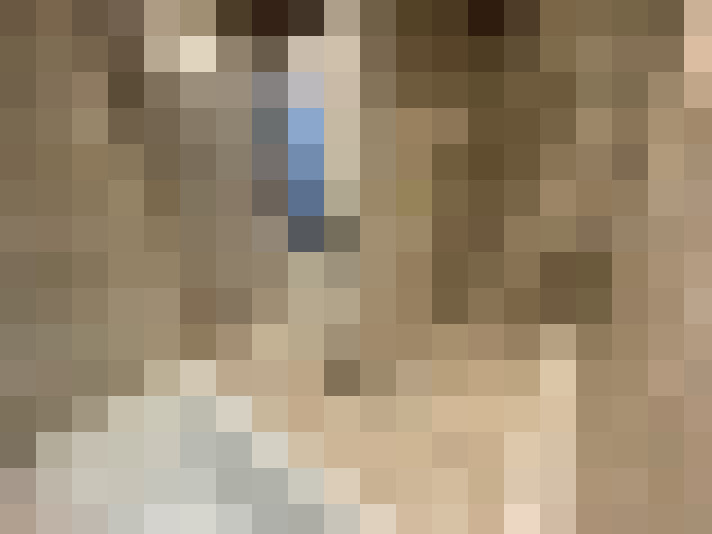  / #9