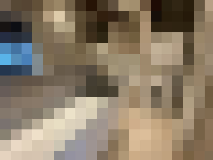  / #11