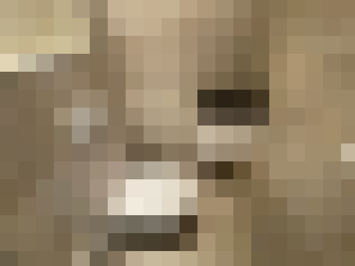 / #6