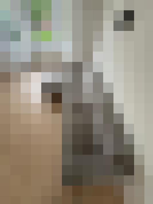  / #33