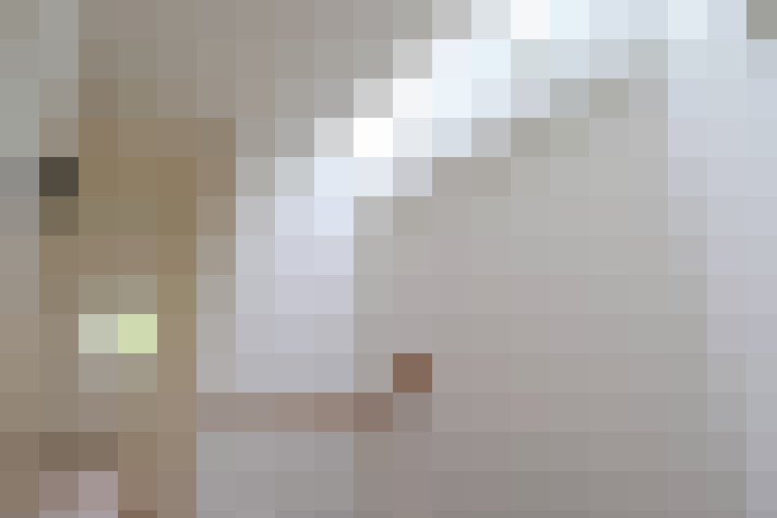  / #14