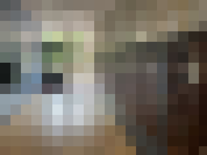 / #17
