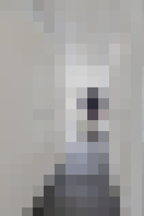  / #22