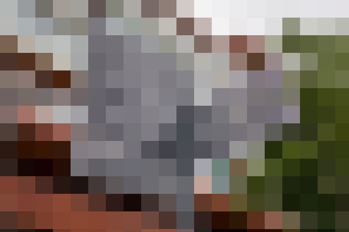  / #24