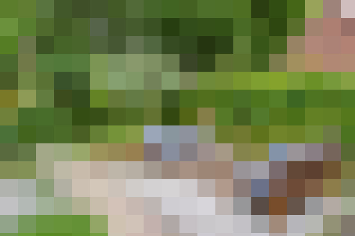  / #15