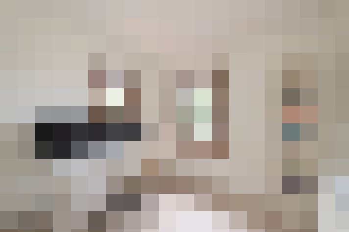  / #23