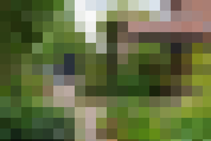  / #14