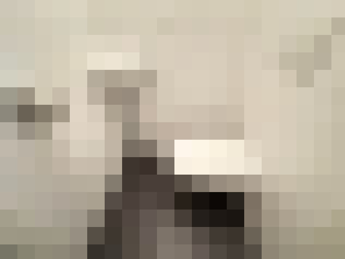  / #21