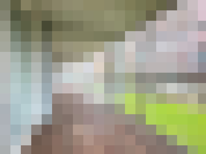  / #20