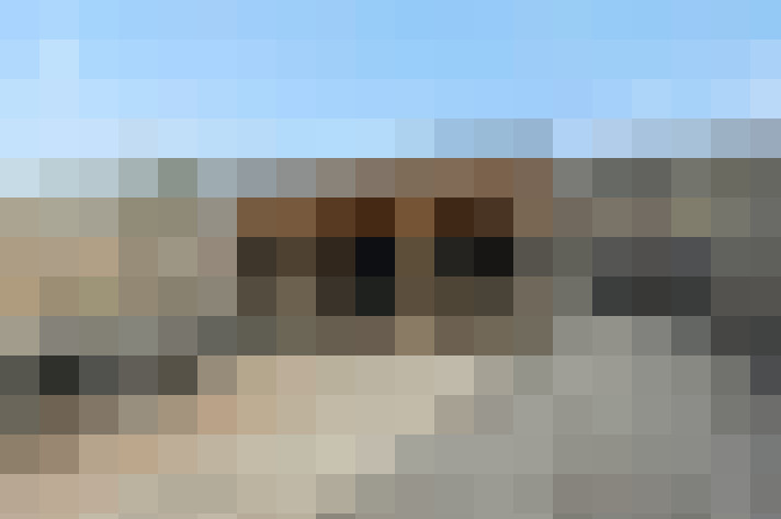  / #19