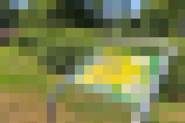 / #46