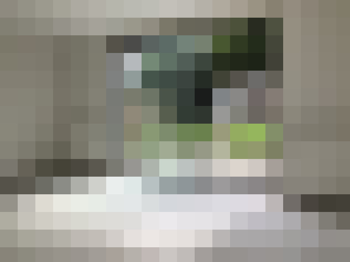  / #7