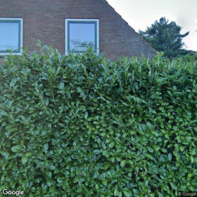 Kamer in Rhenen