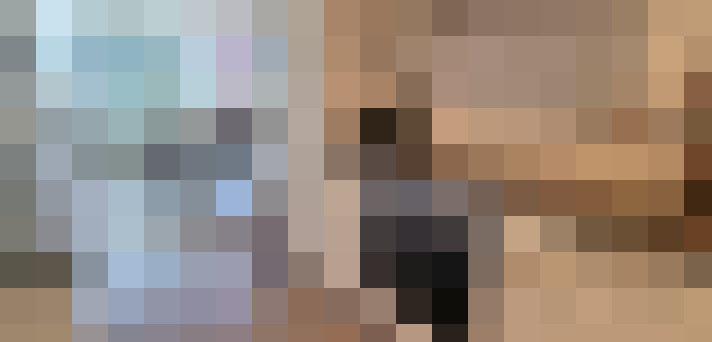  / #20