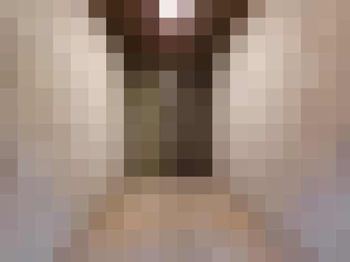  / #11