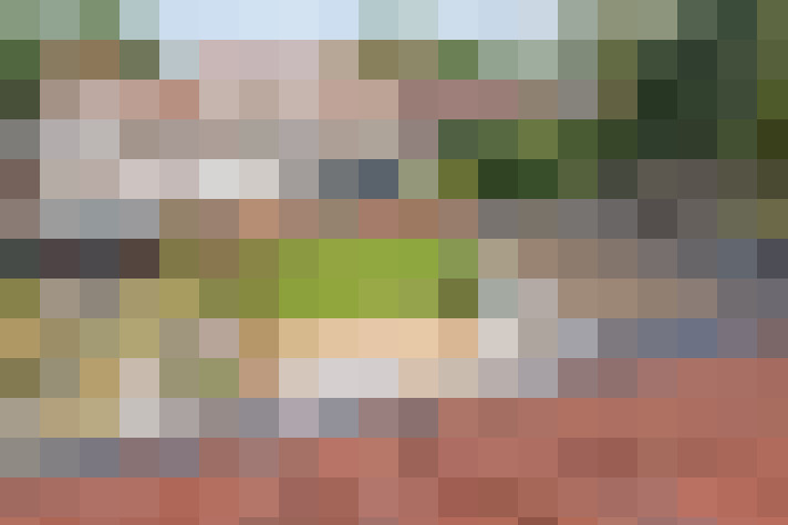  / #19