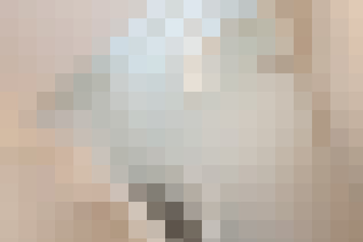  / #12