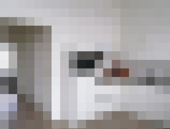  / #8