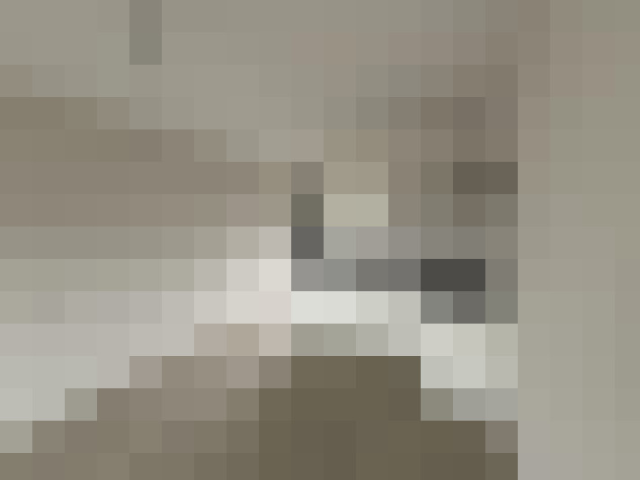  / #36