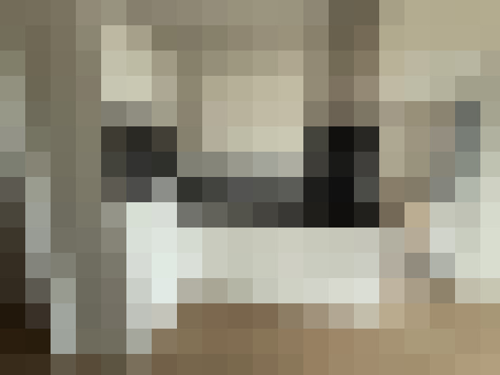  / #24