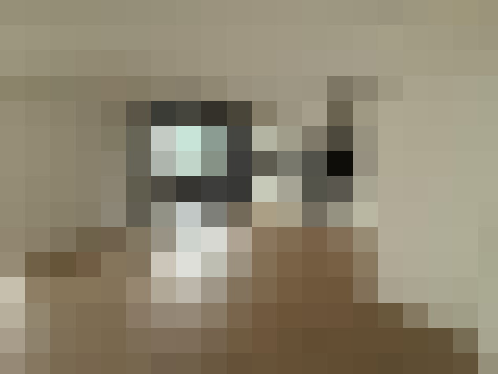  / #6