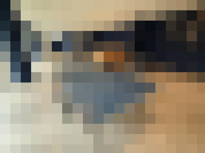  / #24