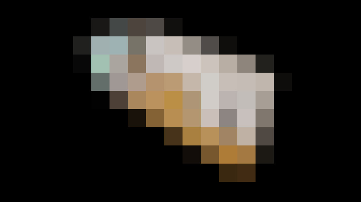  / #15