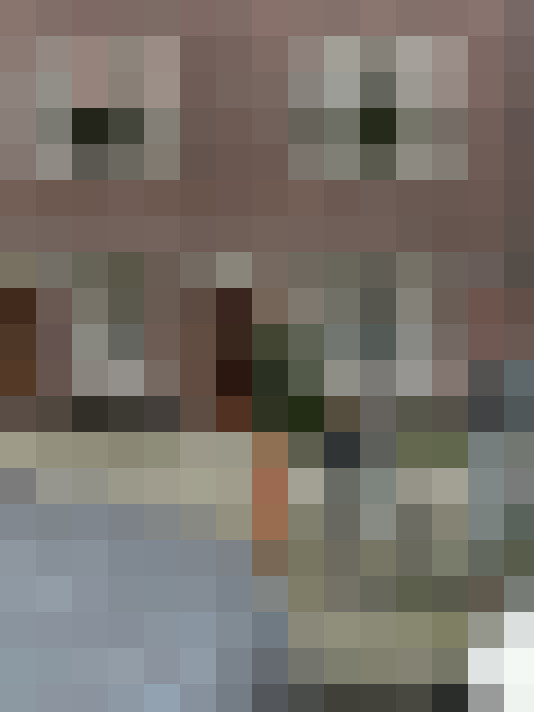  / #31