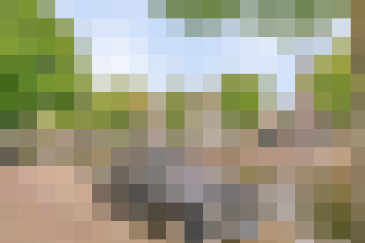  / #19