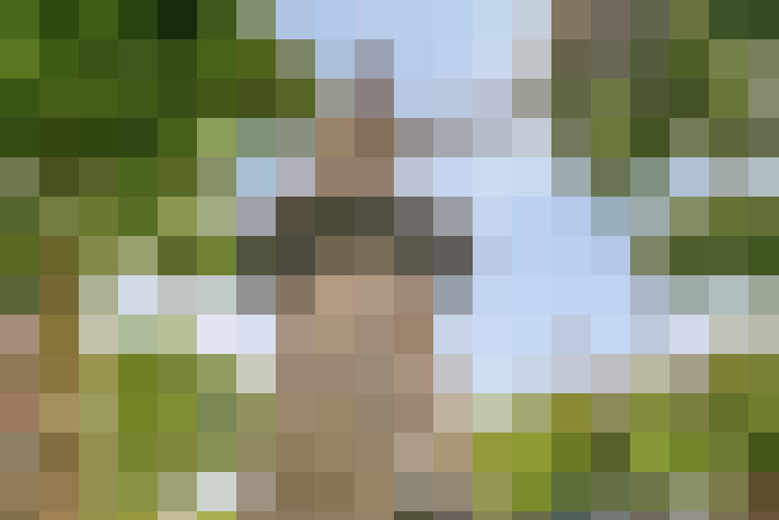  / #26