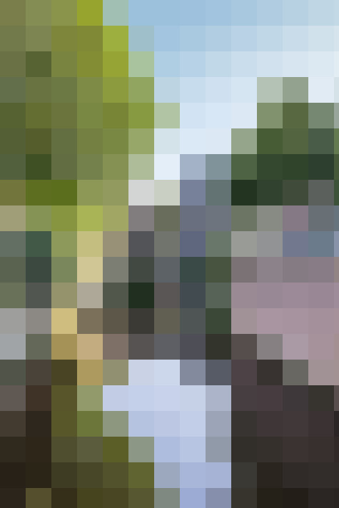  / #78